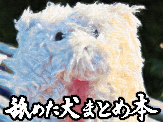 舐めた犬まとめ本舐めた犬  エロ画像617989