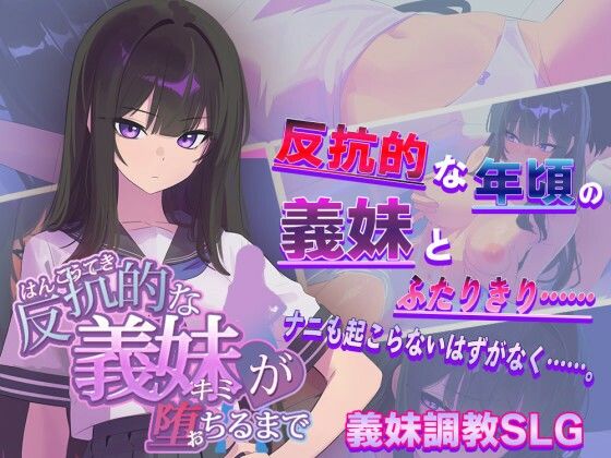 反抗的な義妹（きみ）が堕ちるまでからあげカンパニー  エロ画像715950