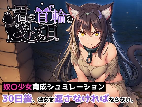 君の首輪を外す日【ヒヒイロカネ密売所】  エロ画像789915